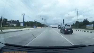 真实大象图片大全可爱,真实野生大象图片