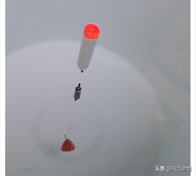 野钓青草鳊用什么商品饵,鲤鲫青草鳊野钓怎么样