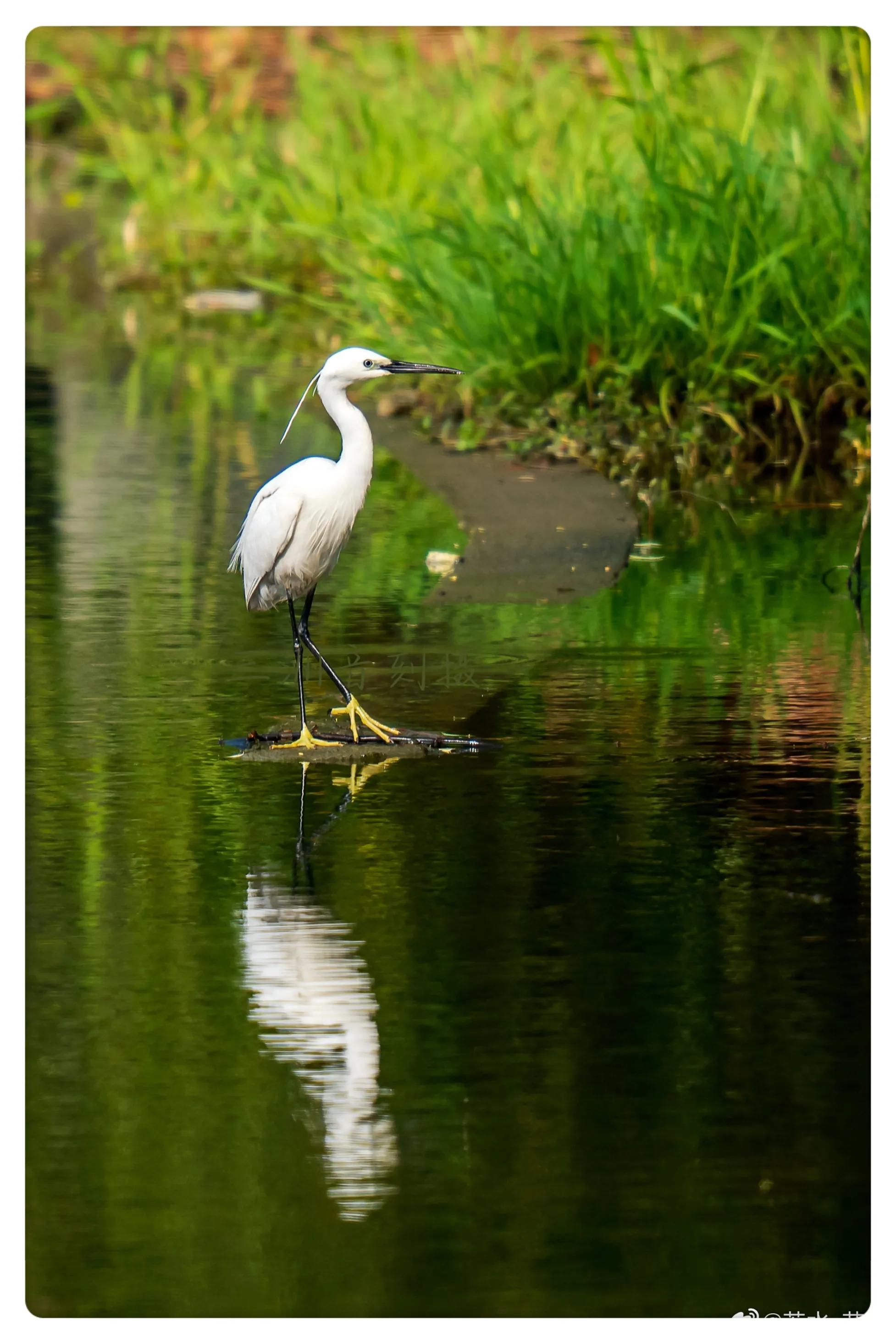 上海国际汽车城安亭,上海安亭国际汽车城