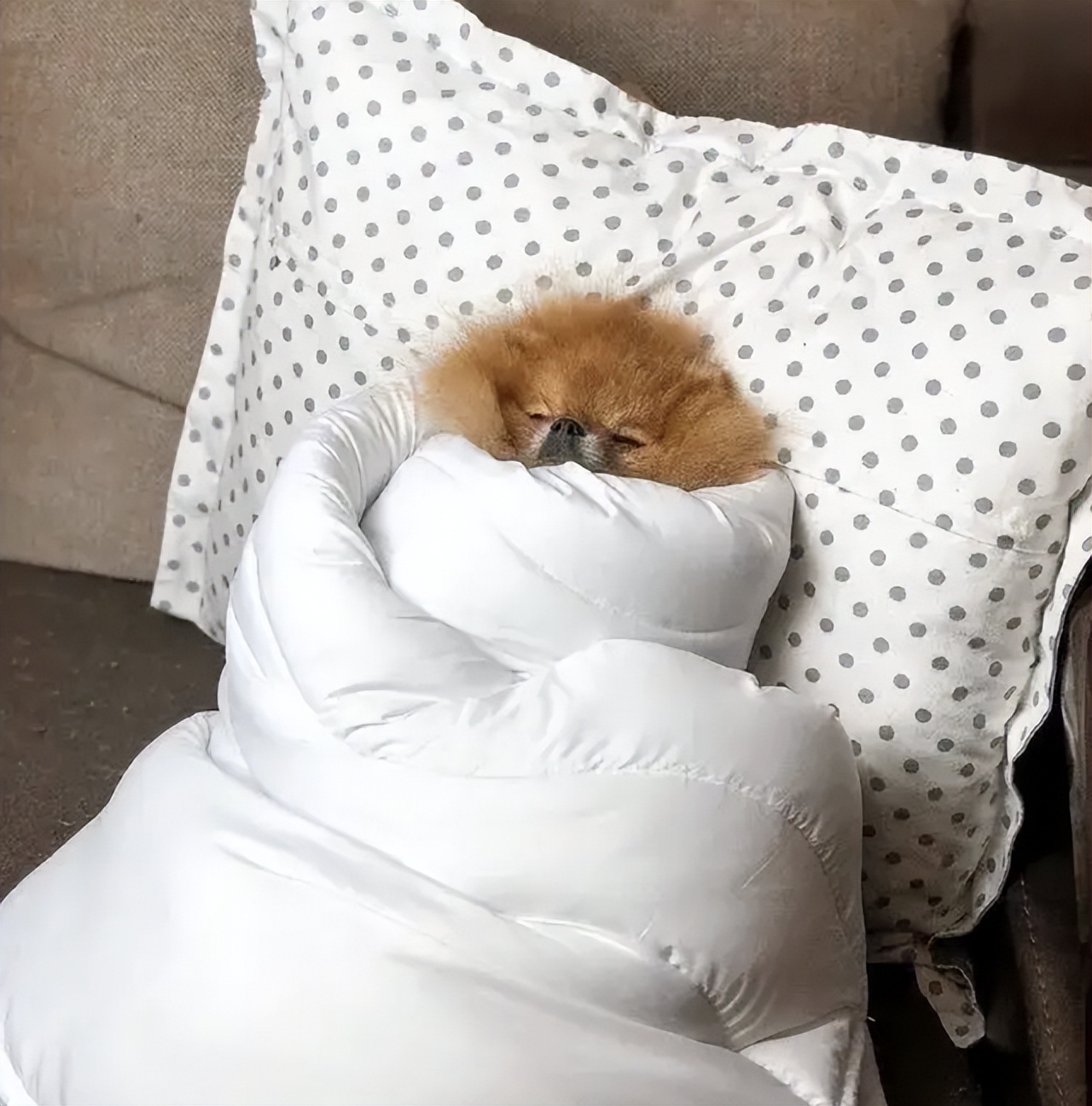 北方人适应南方的回南天吗,回南天衣服晾不干为什么有股臭味