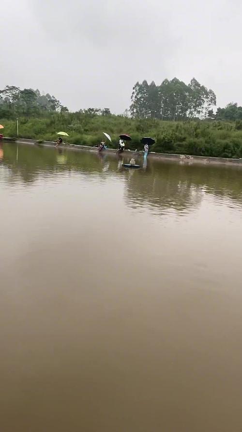 6岁就有这般行云流水的操作，妥妥的高手一枚，钓鱼界的后起之秀