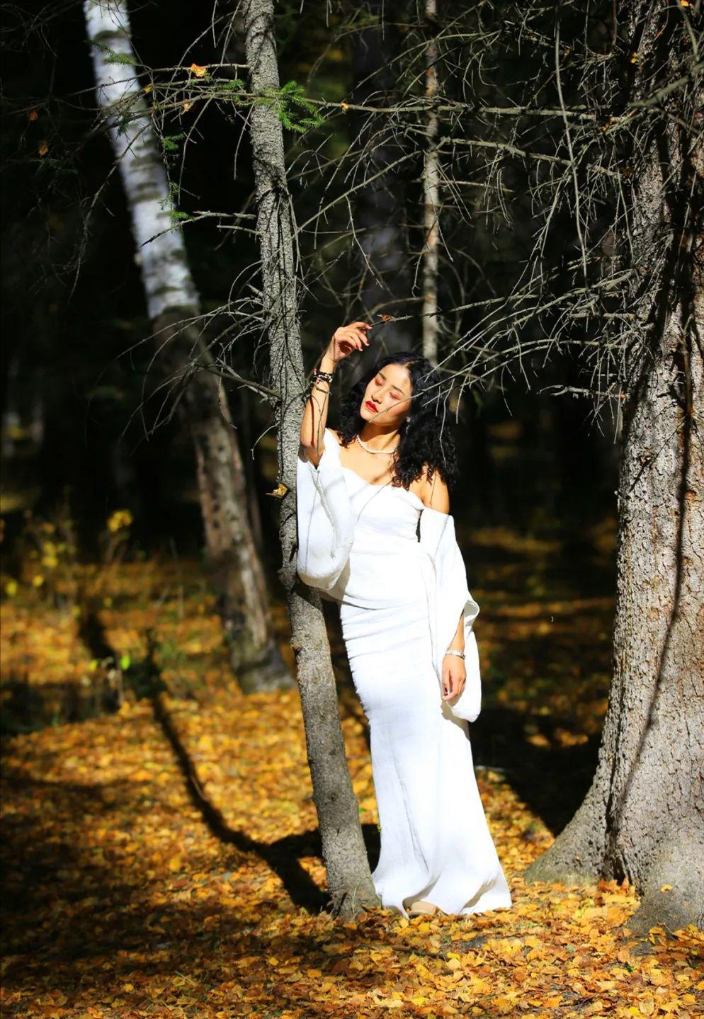 秋季喀纳斯,喀纳斯之秋风景画