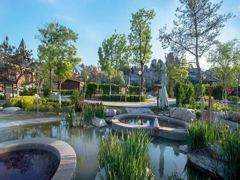 冬天一碗汤暖心又暖胃,初冬的幸福感