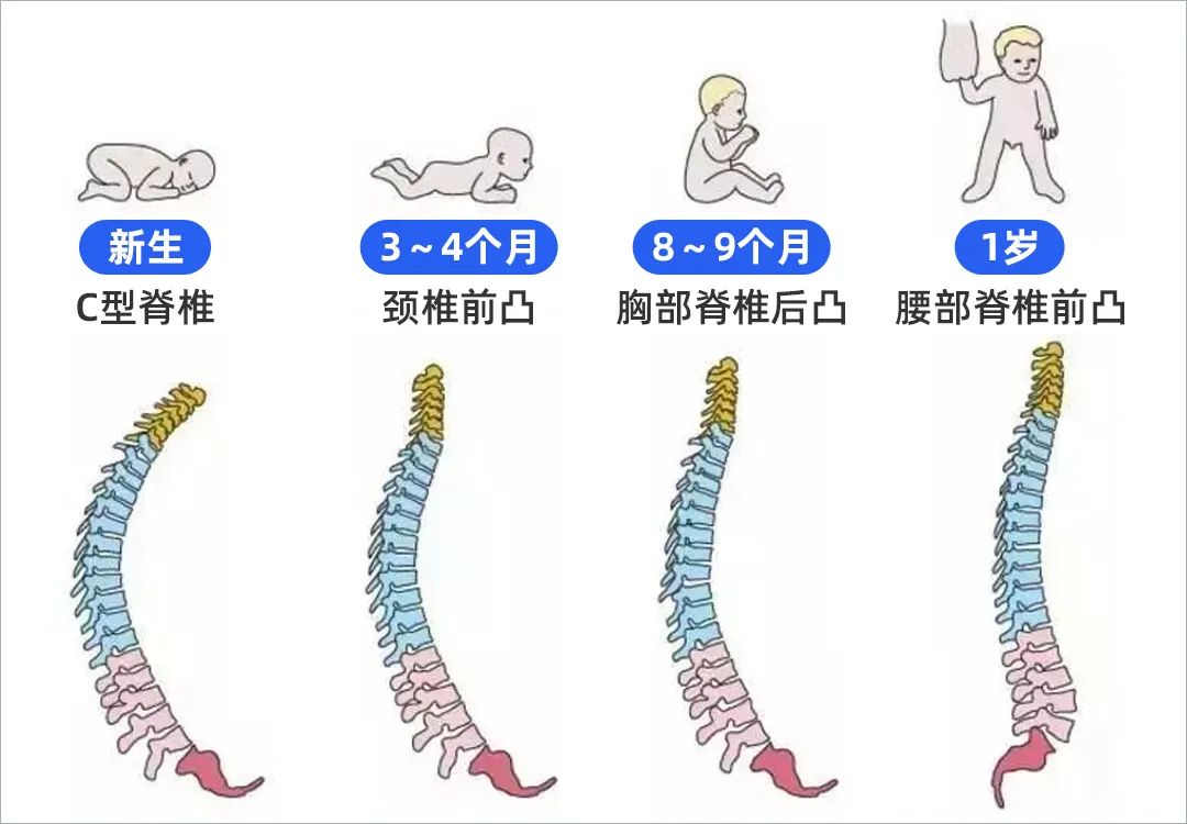 宝宝睡乳胶床垫会影响脊柱发育吗,婴儿睡很软的床垫对脊柱发育好吗