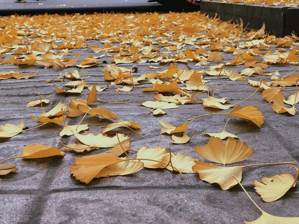 七十多岁牙一个都没掉,八十多岁不掉牙