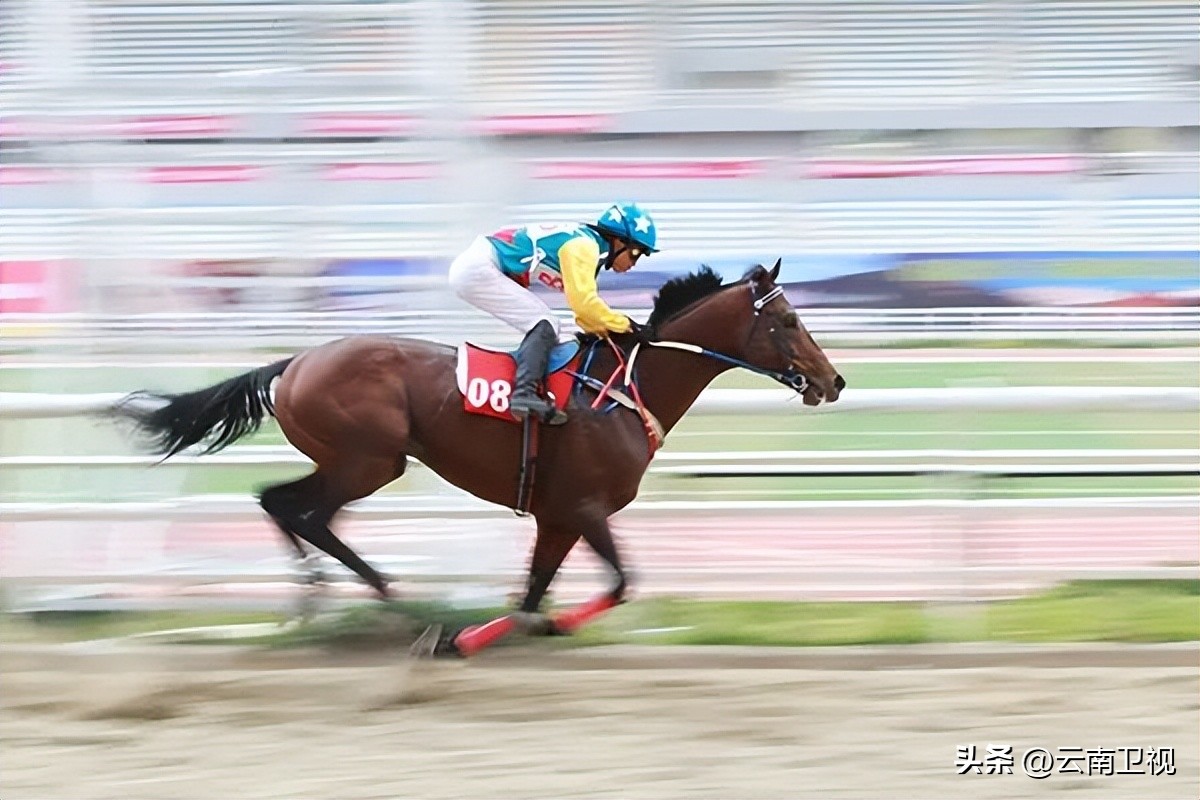 广西民族运动会马术,少数民族运动会马术项目