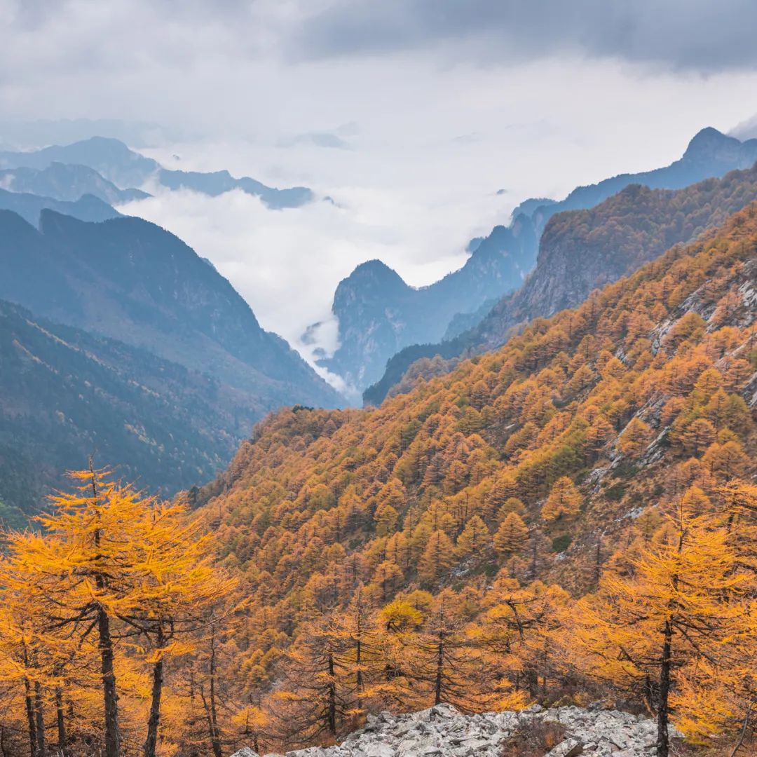 太白山是陕西最高点吗,秦岭最高峰太白山