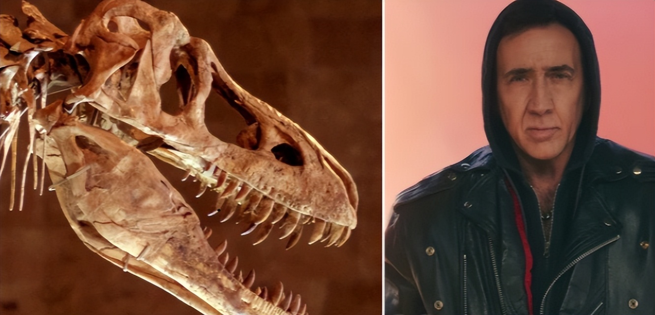 尼古拉斯凯奇负债累累吗,尼古拉斯凯奇破产而陨落的巨星