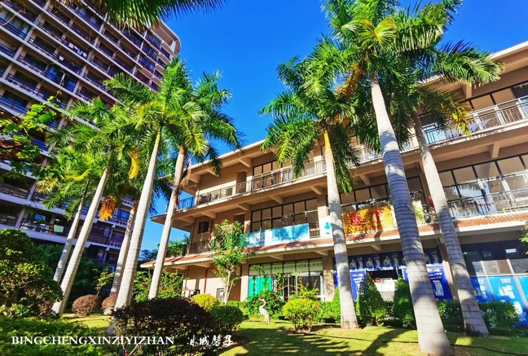 旅居海南,旅居式旅游生活海南