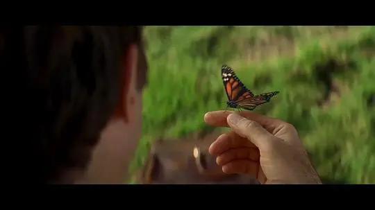 医疗不能只是治疗,这部美国电影讲了一个走心的医生故事