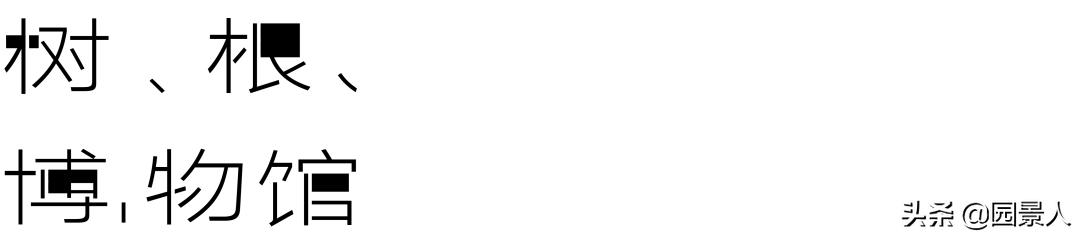 南山之北，理想生活追寻丨保利·麓谷林语