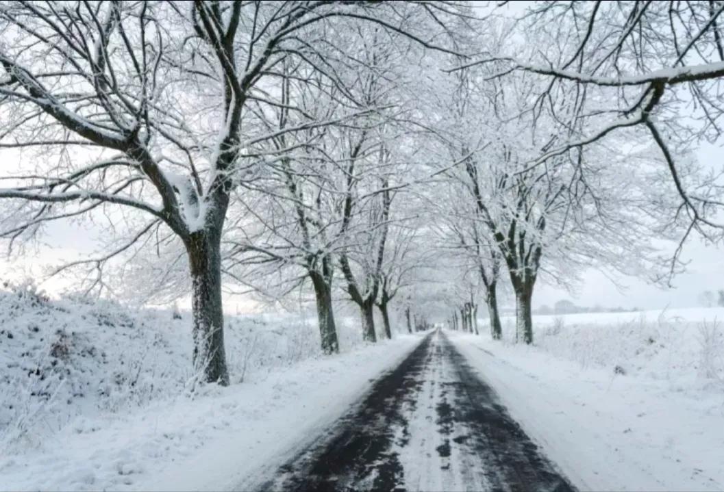 陕西礼泉著名诗人梁靖青短小散文《冬天的风》