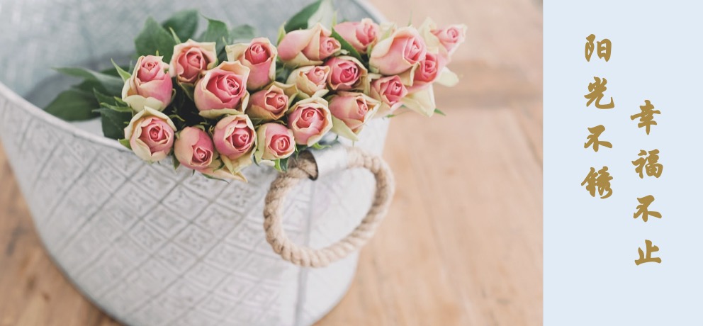 我们为什么要过一样的人生,为什么我的人生跟别人的不一样