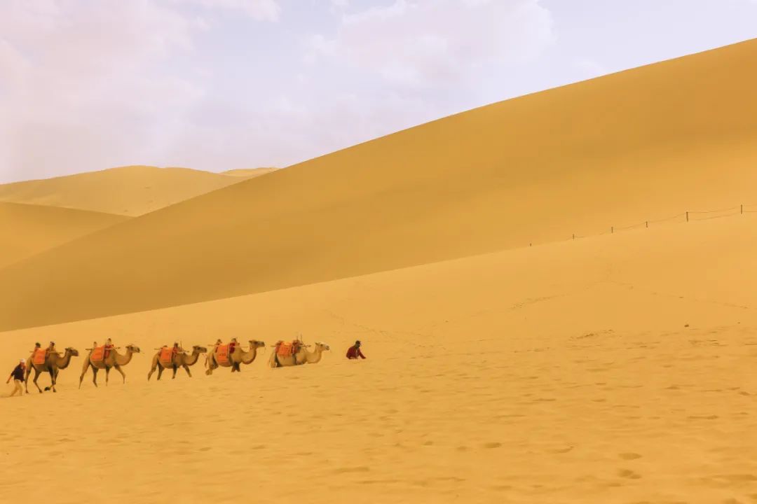 甘肃想吃美食去哪里旅游,甘肃啥地方