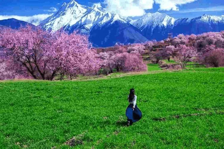 作家向阳新诗集《心若向阳》警句妙言欣赏