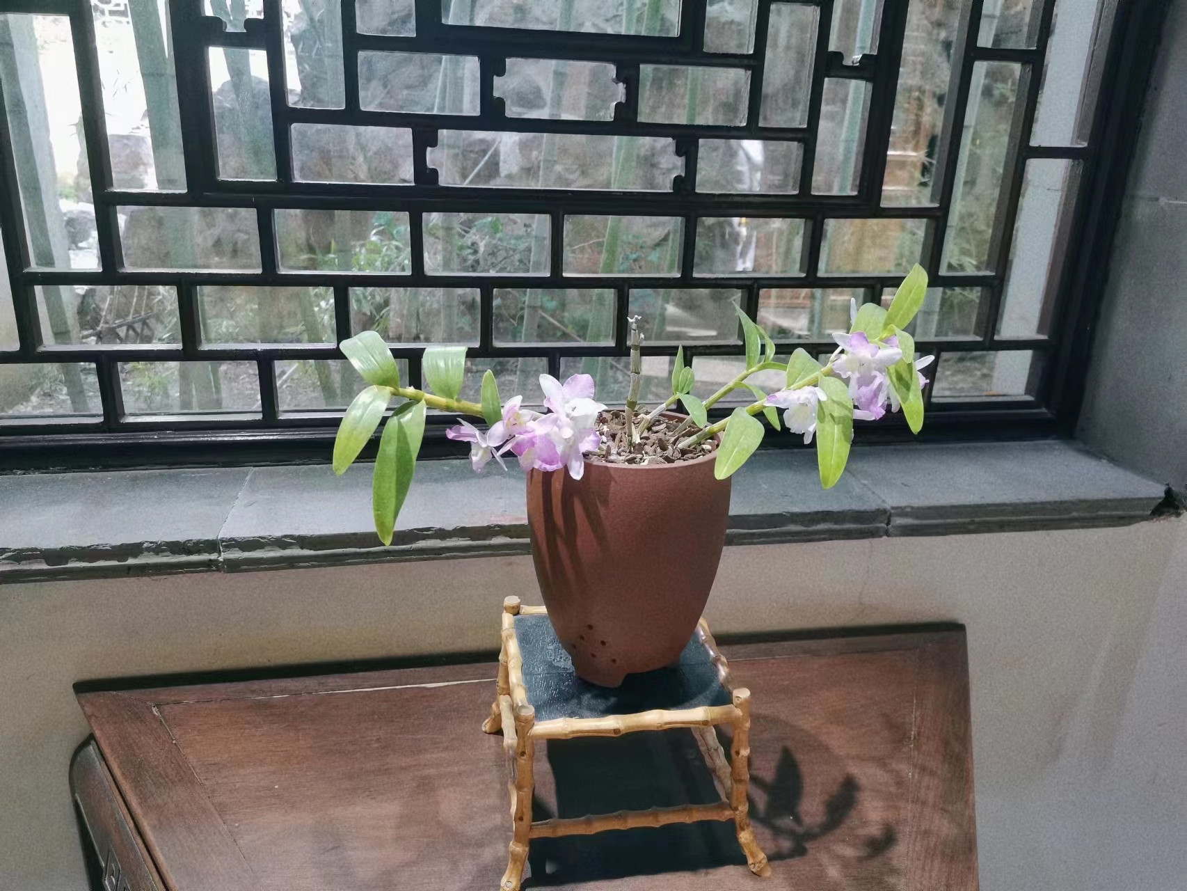 苏州一日游攻略：你一句春不晚，我就挤扁在了真江南（上）