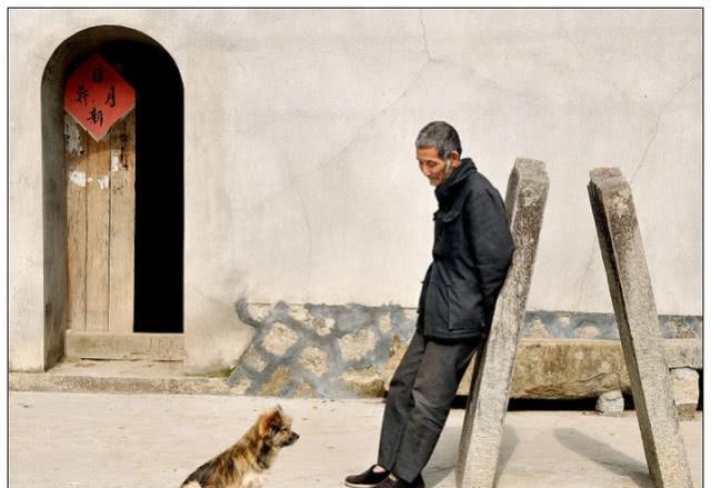 千年的王八万年的龟经典语录,千年王八万年龟下一句人生智慧