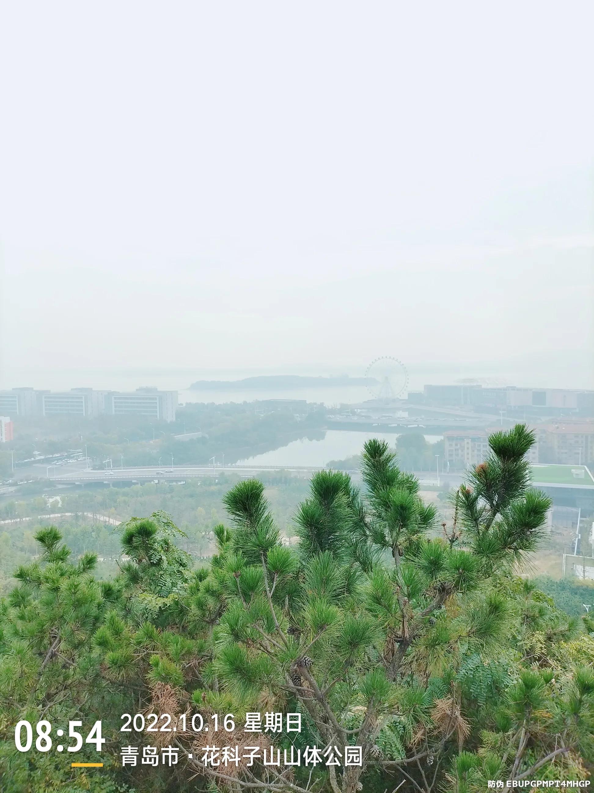 青岛西海岸赏花攻略,青岛海滨风景区一日游攻略