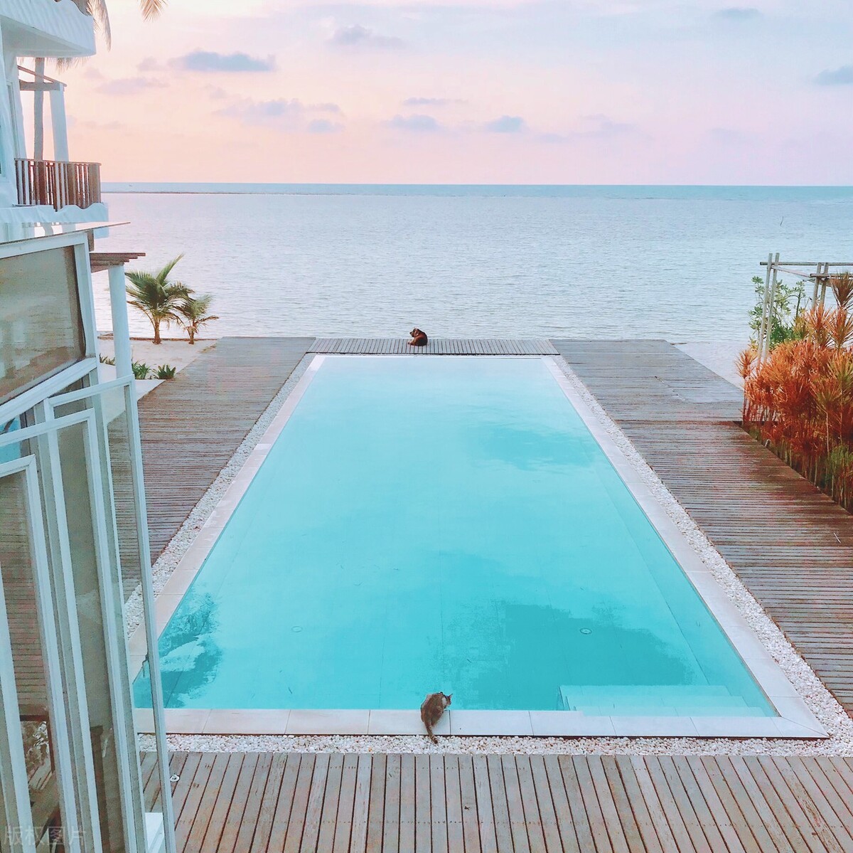 厦门夏天旅游攻略免费景点,厦门旅游十大景点排行榜自由行