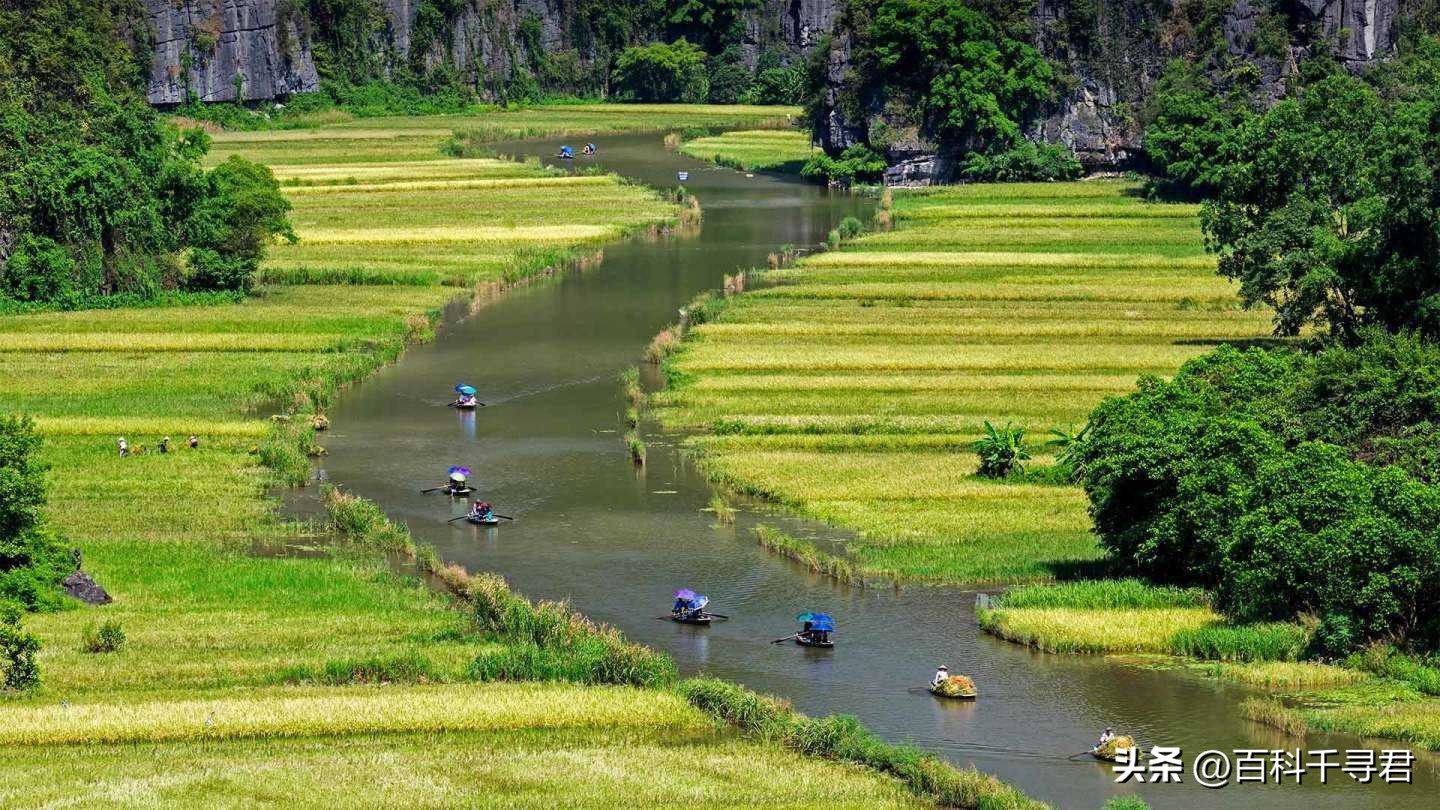 粮食产量对比表国家,粮食产量自给率