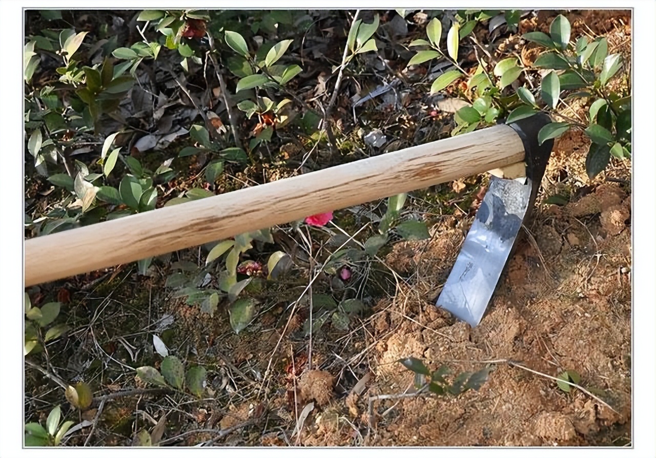 老木匠最爱的工具有哪些,老木匠的老工具