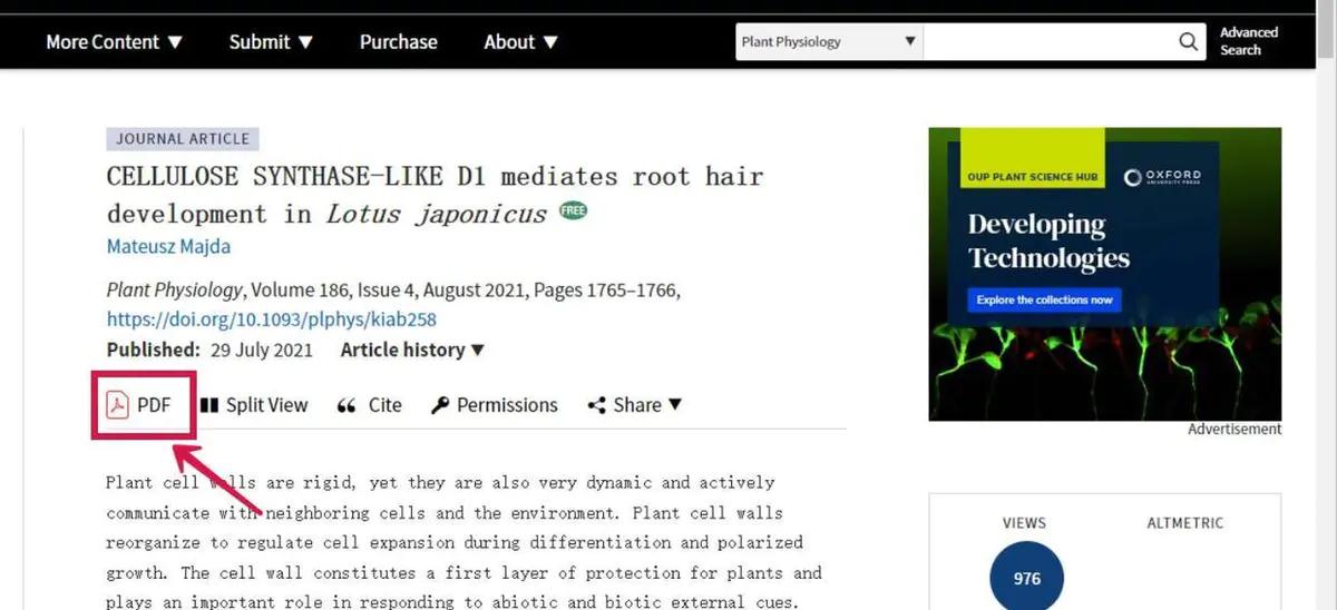 论文的外文参考文献在哪里找,论文找不到英文参考文献