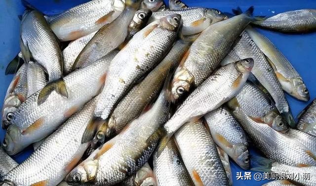 冬天吃鱼的好处三种鱼不要多吃,秋冬吃什么鱼最好