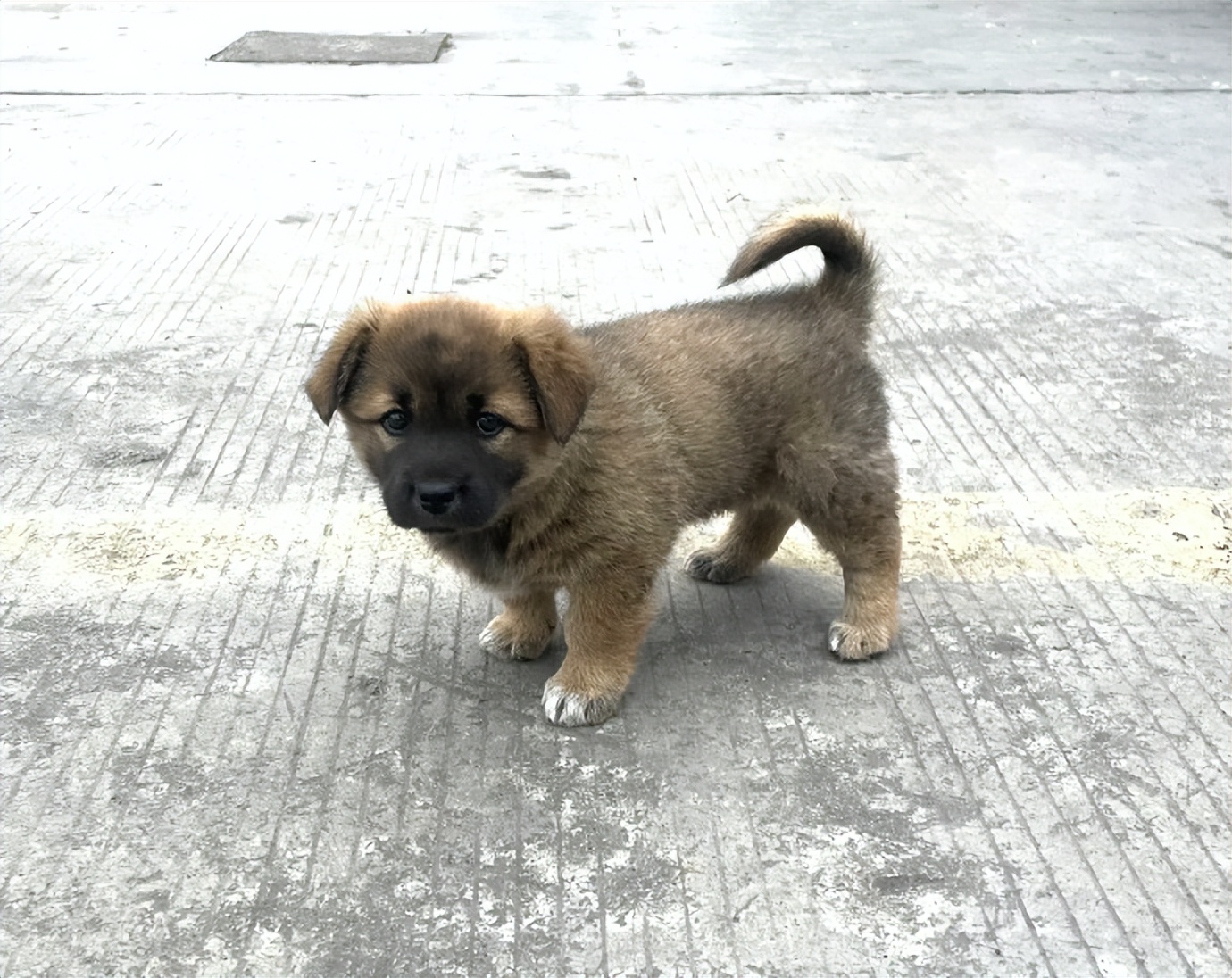 女厕的诡异之处,女厕所发现怪异男尸