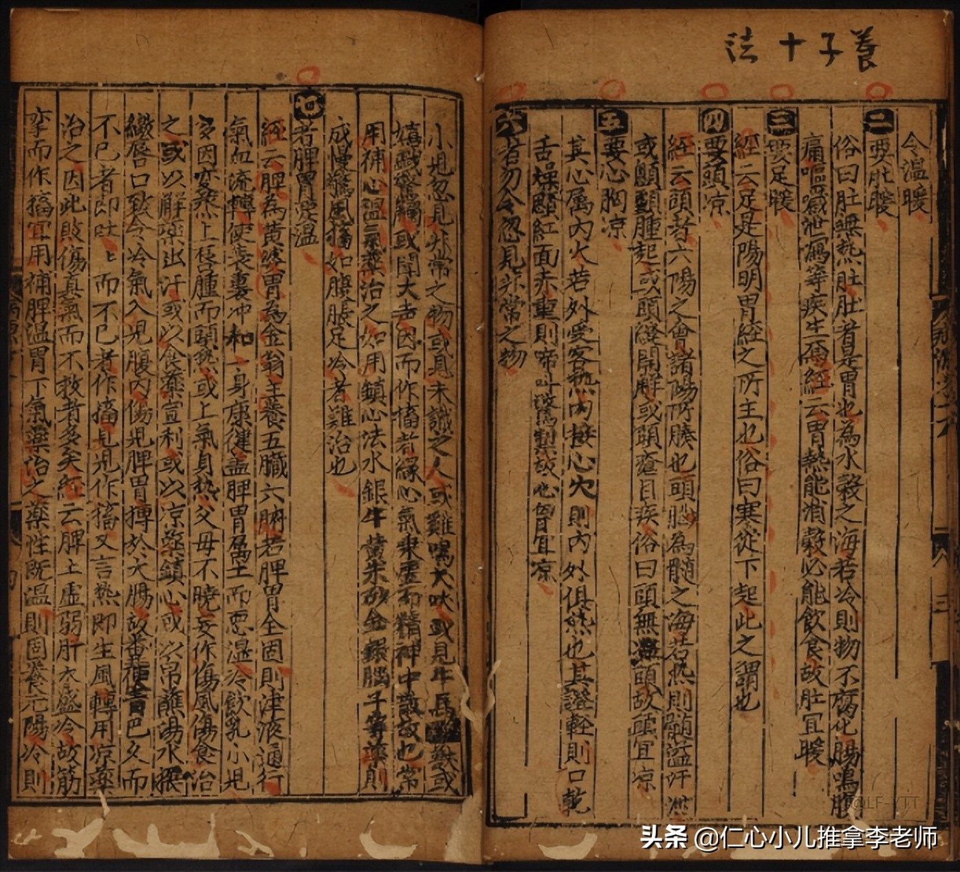 陈文中书籍,陈文中生平