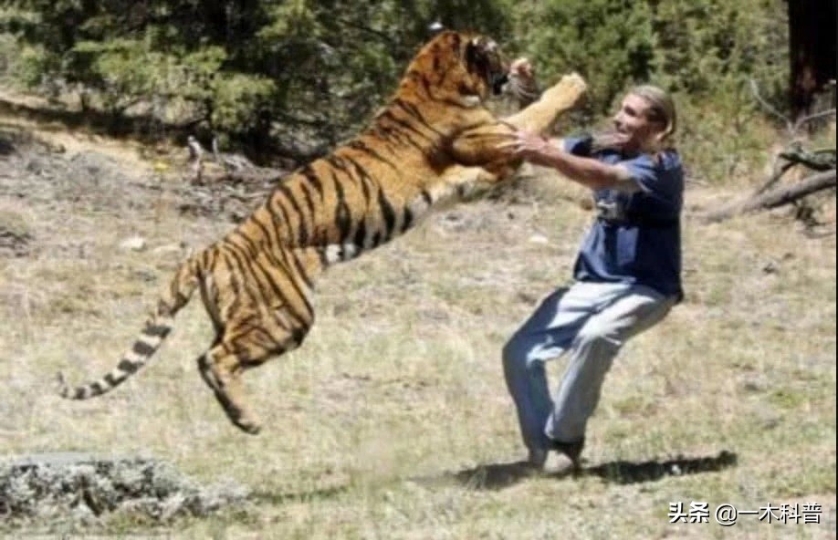 原地不动抗毒技巧,原地奔跑跳不了怎么办