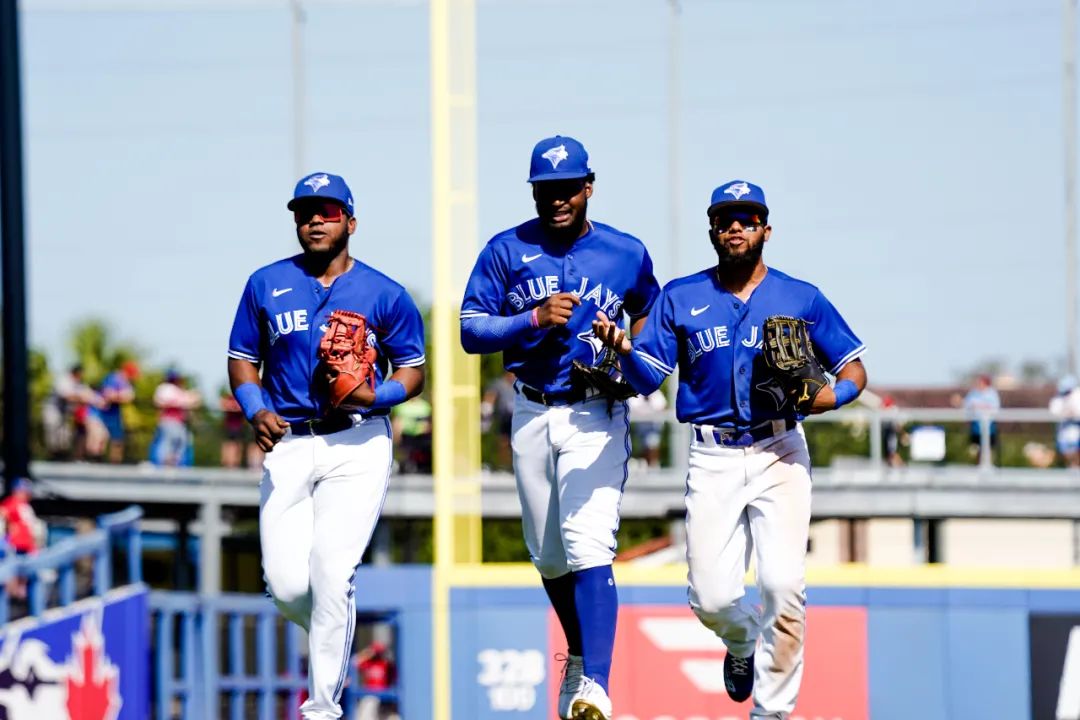 “最强二代”蓝鸟军团，大都会双赛扬压阵，今年的两队大有可为