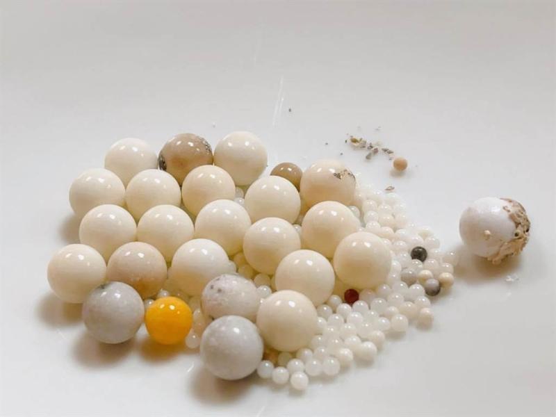 星云大师火化舍利子过程,星云大师舍利子事件