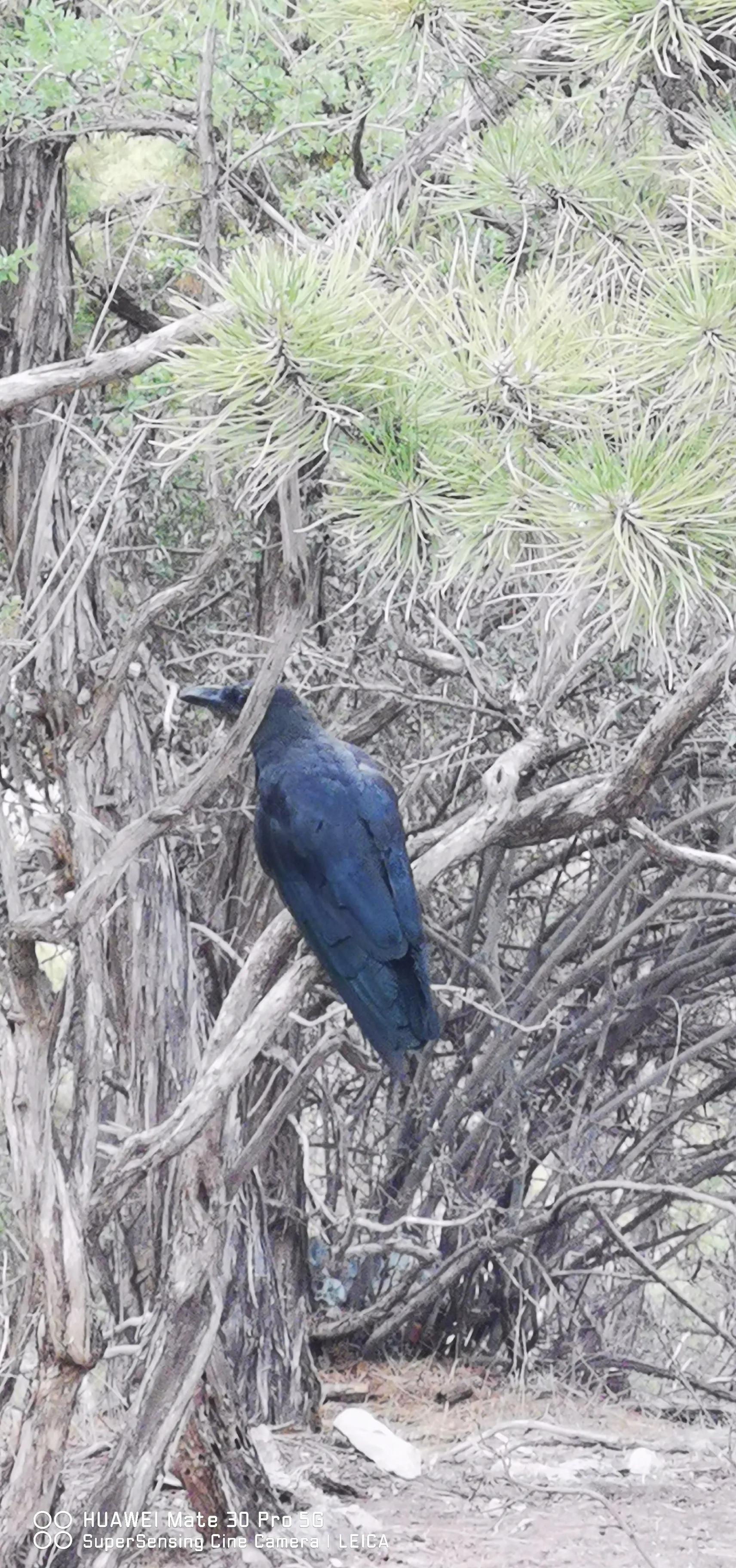 银川我来了视频,宁夏我来了完整视频