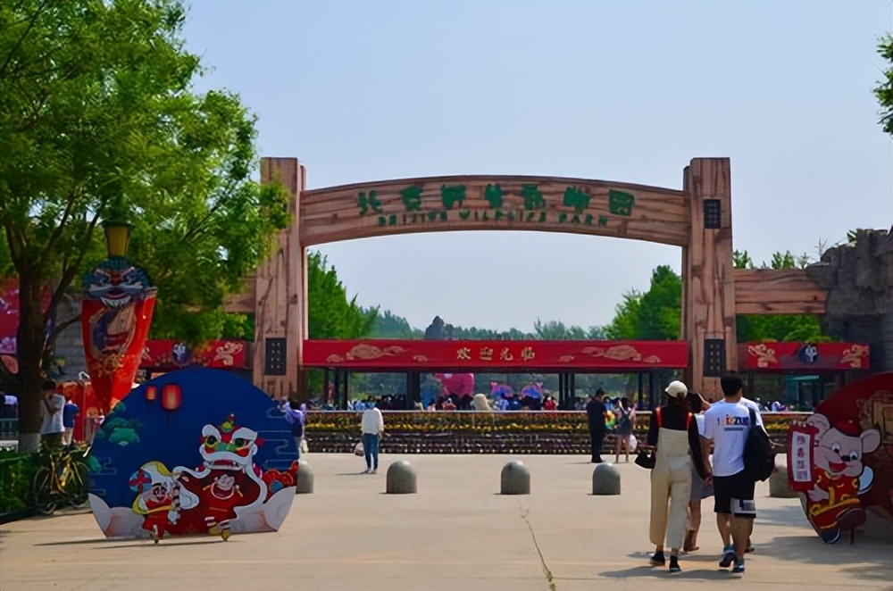 大兴野生动物园之旅,北京野生动物园和猛兽亲密接触