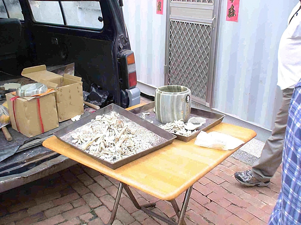 人体最坚硬的部分是牙齿,人体中最坚硬的部位不是头骨吗