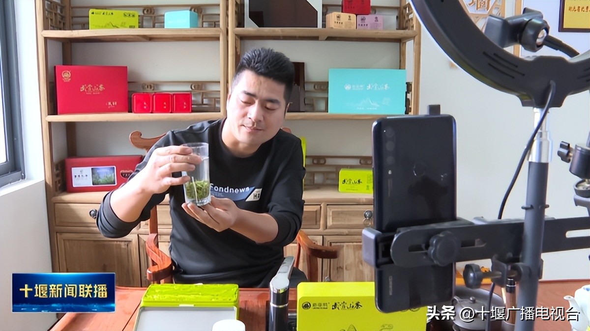 种茶致富带头人个人事迹,出生茶农世家的男人