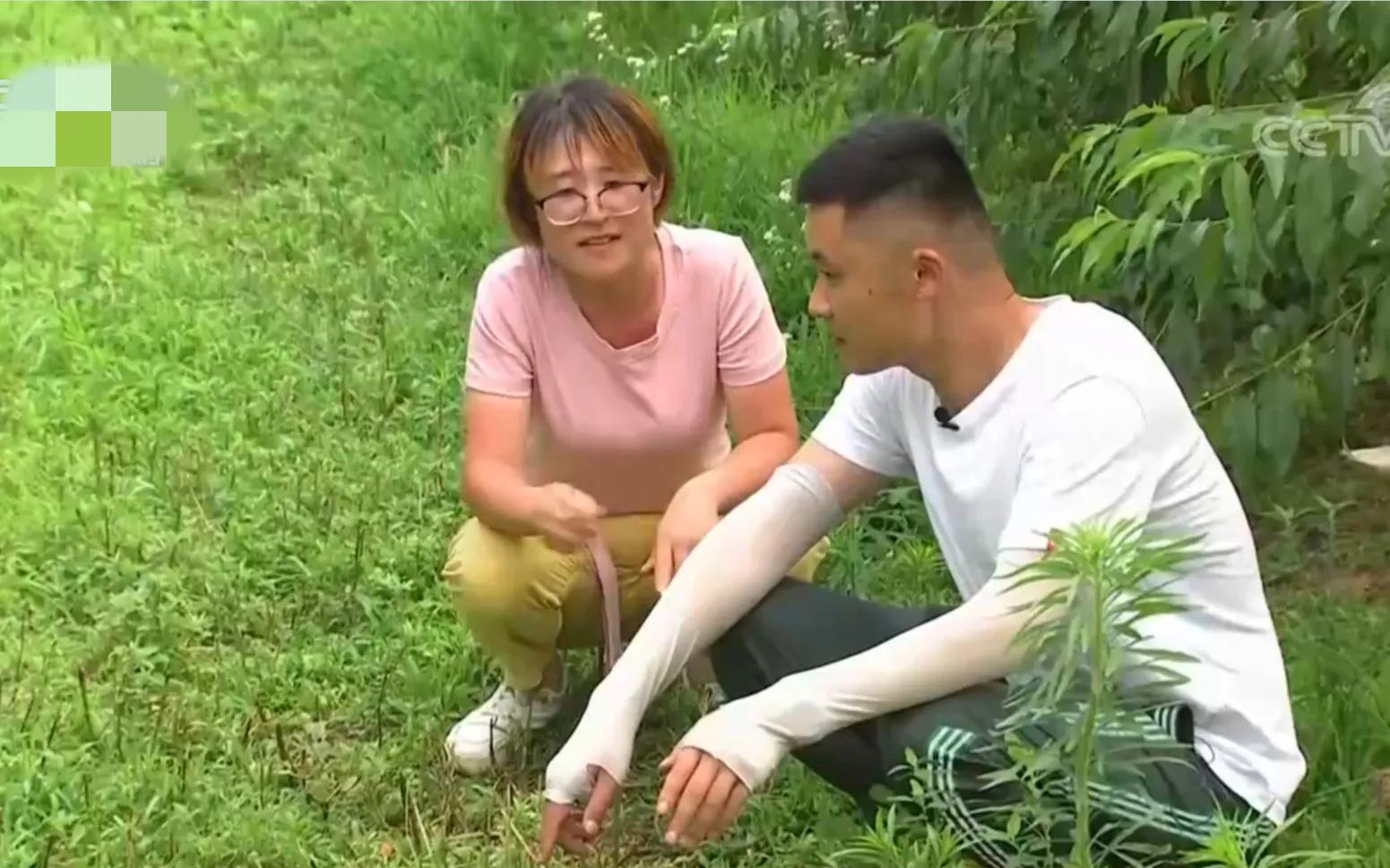 山东女孩承包5600亩地,女子承包500亩地种红薯被村民偷挖