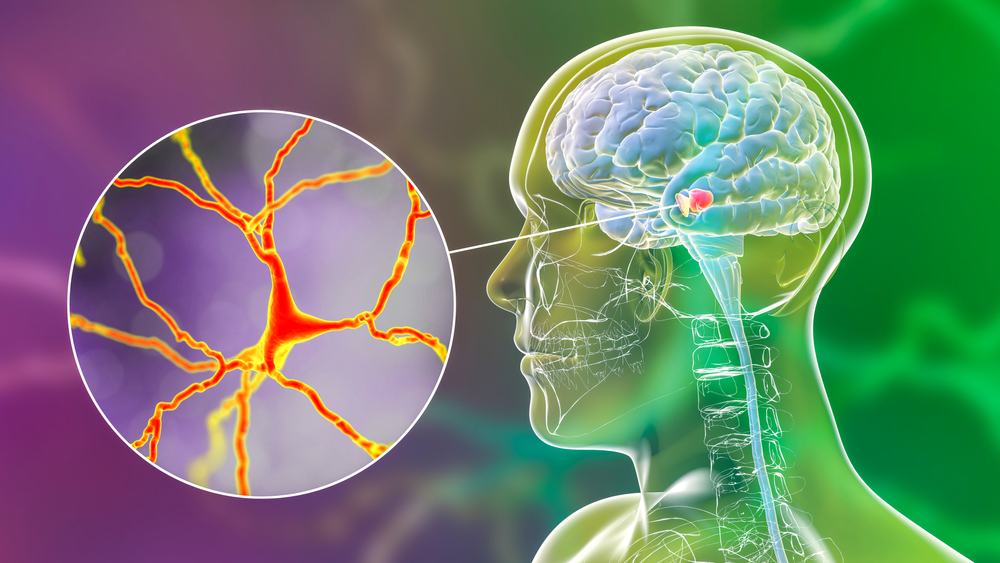 虾青素能抗应激吗,虾青素能抗氧化抗衰老吗
