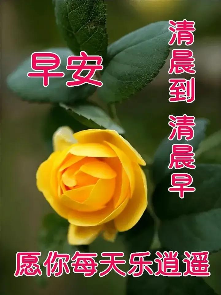 2023年农历是什么年癸卯年,农历2023年癸卯年正月结婚吉日