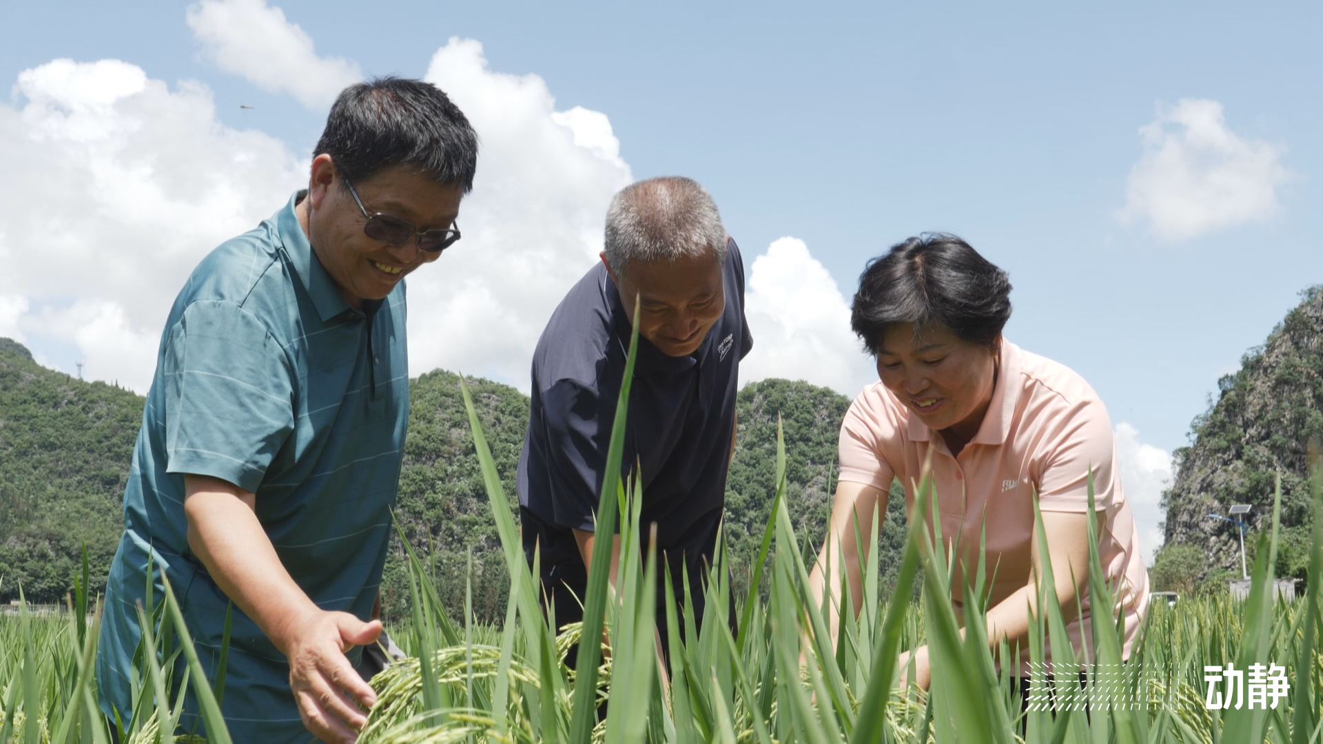 万峰林长视频,万峰林实时画面