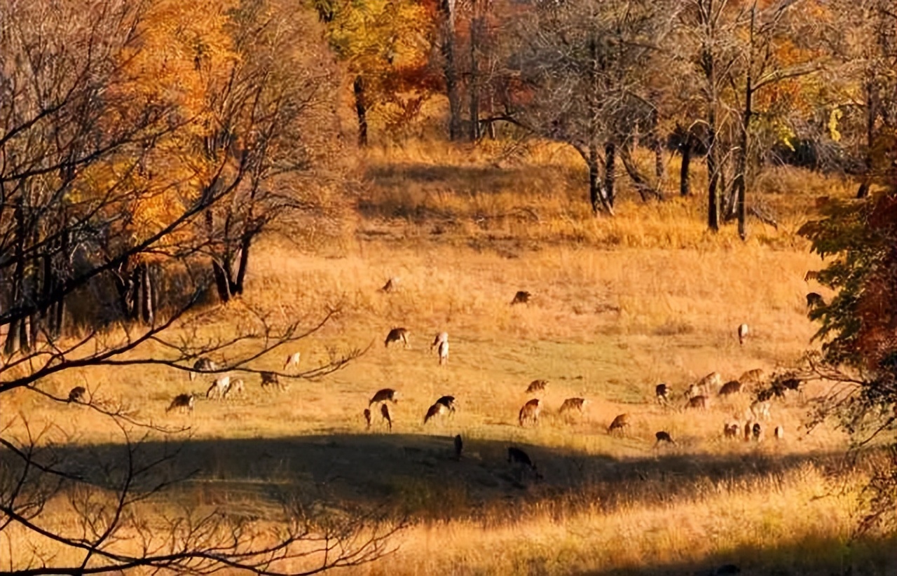 黑龙江省内自驾旅游线路推荐,黑龙江附近沿海城市开车自驾