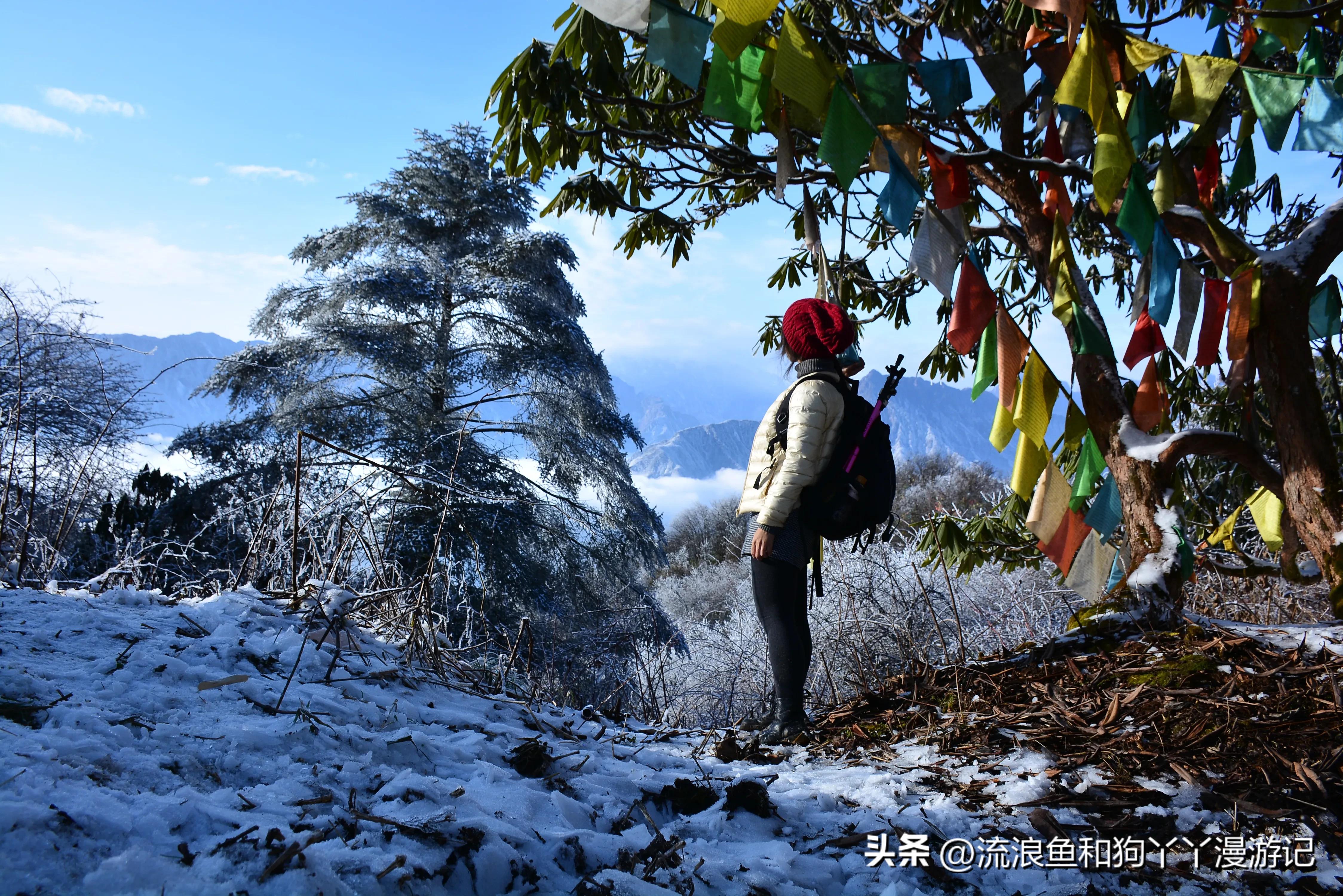 四月份成都近郊一日游好去处,2022成都近郊看雪一日游最佳去处
