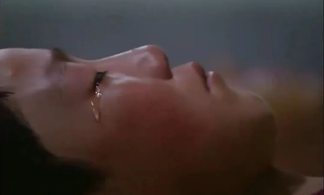 变形计中逆天改命的孩子,变形计17岁少年成富一代