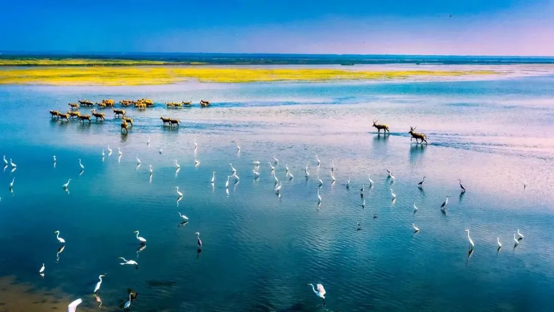 如果你要写东台，就不能只写东台~