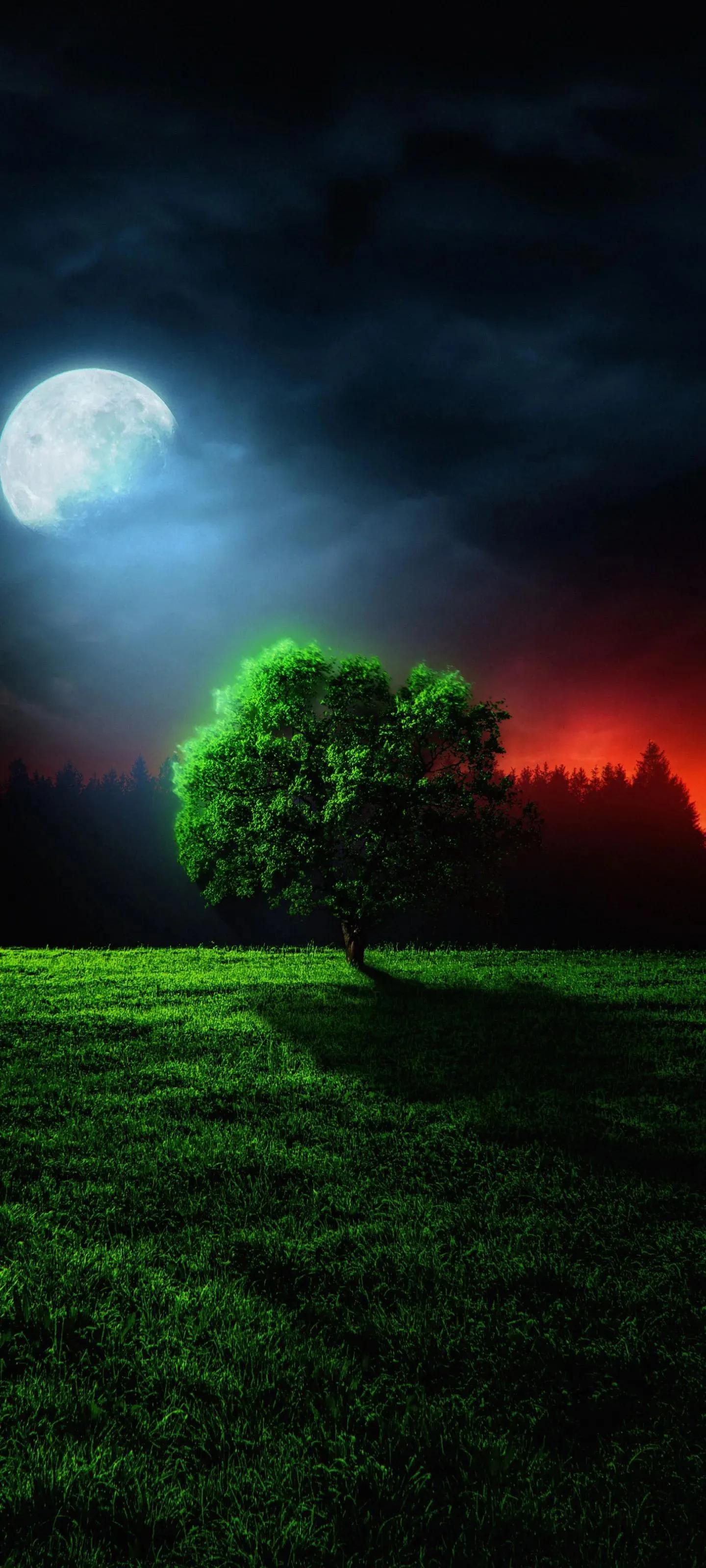 高清壁纸全面屏手机,围棋壁纸高清全面屏