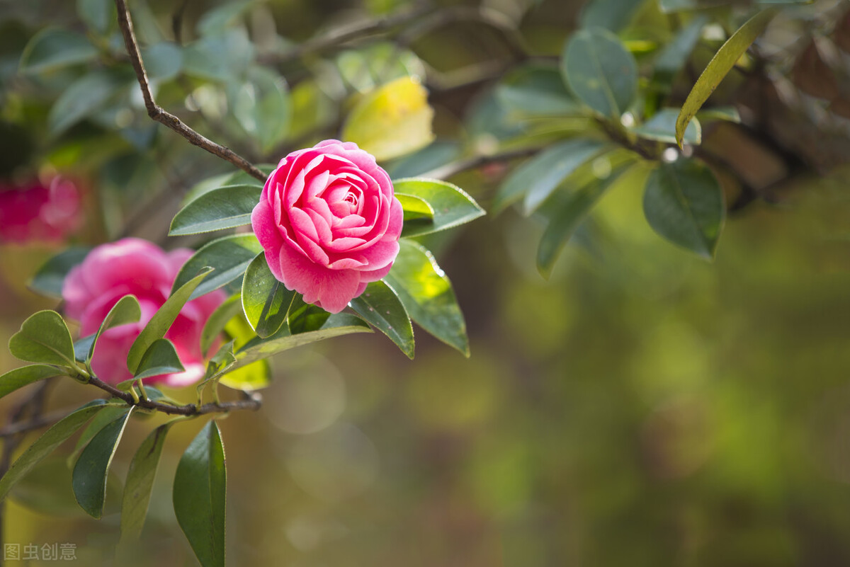 写给爱而不得的人一些话,写给爱而不得的一个人