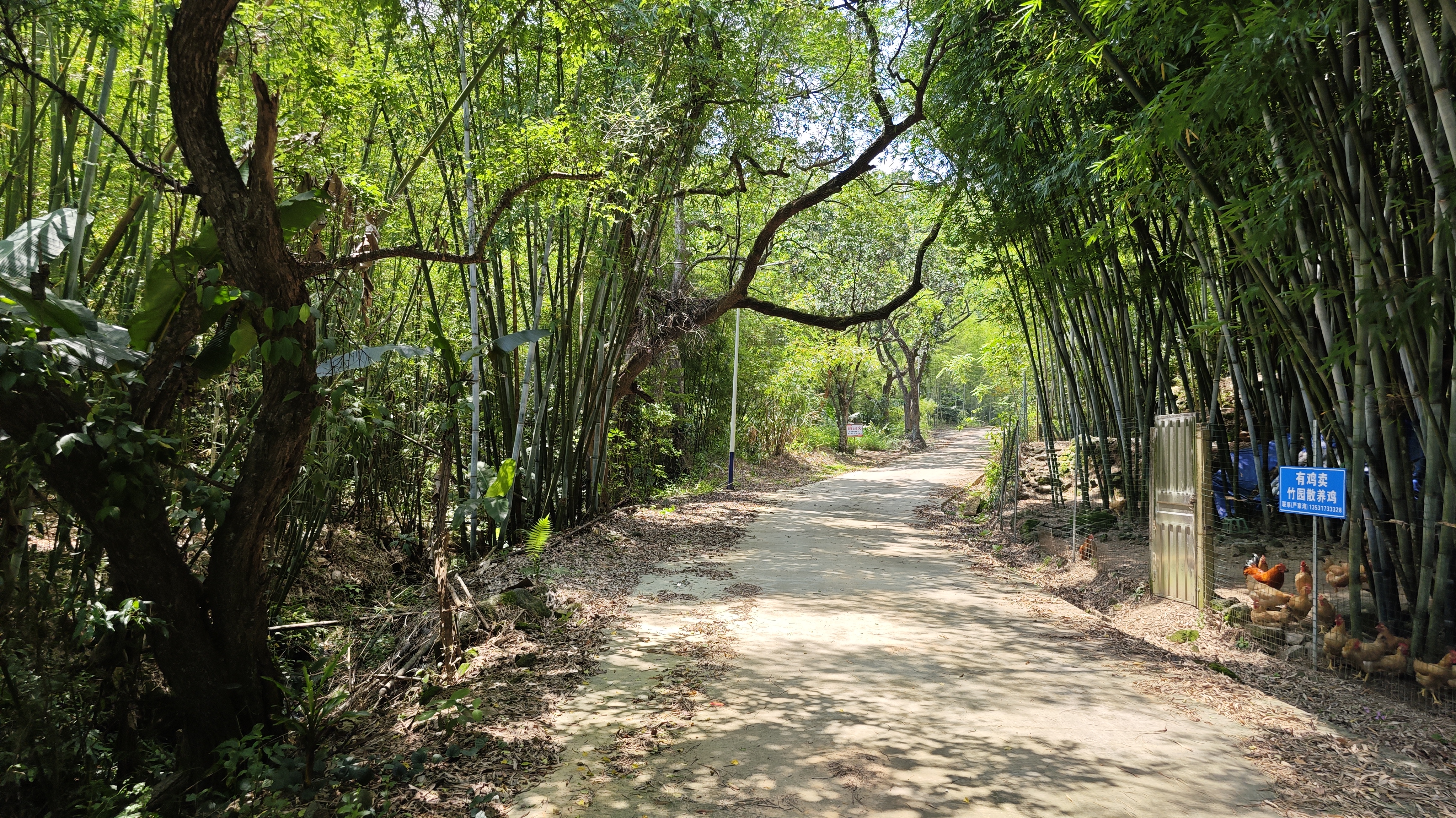惠州夏日避暑胜地南昆山,惠州南昆山溯溪玩水的地方