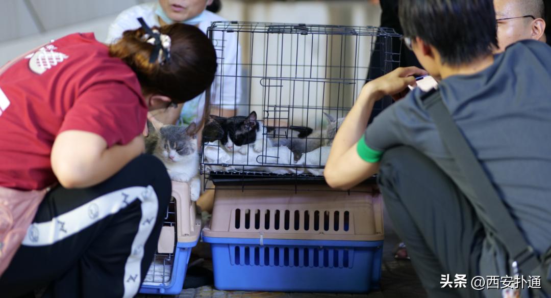 高新大都荟摆摊夜市在哪个位置,高新大都荟摆摊