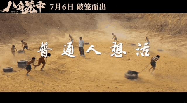 王宝强最近的新作,王宝强新作豆瓣