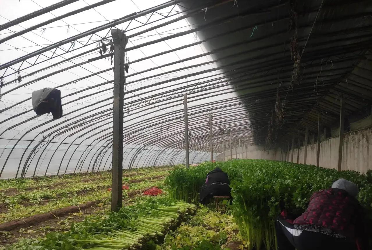 哪个专家提议重收农业税,专家建议重征农业税